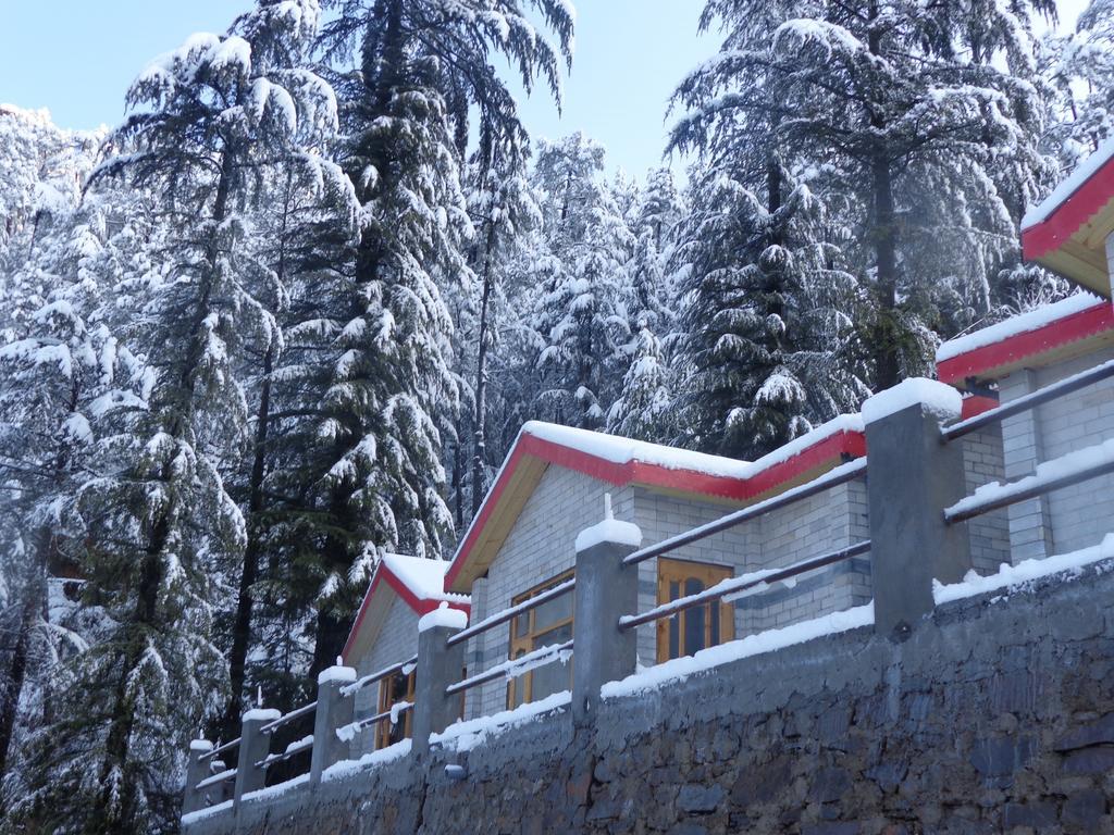 Village Live In Resort Chail Bagian luar foto