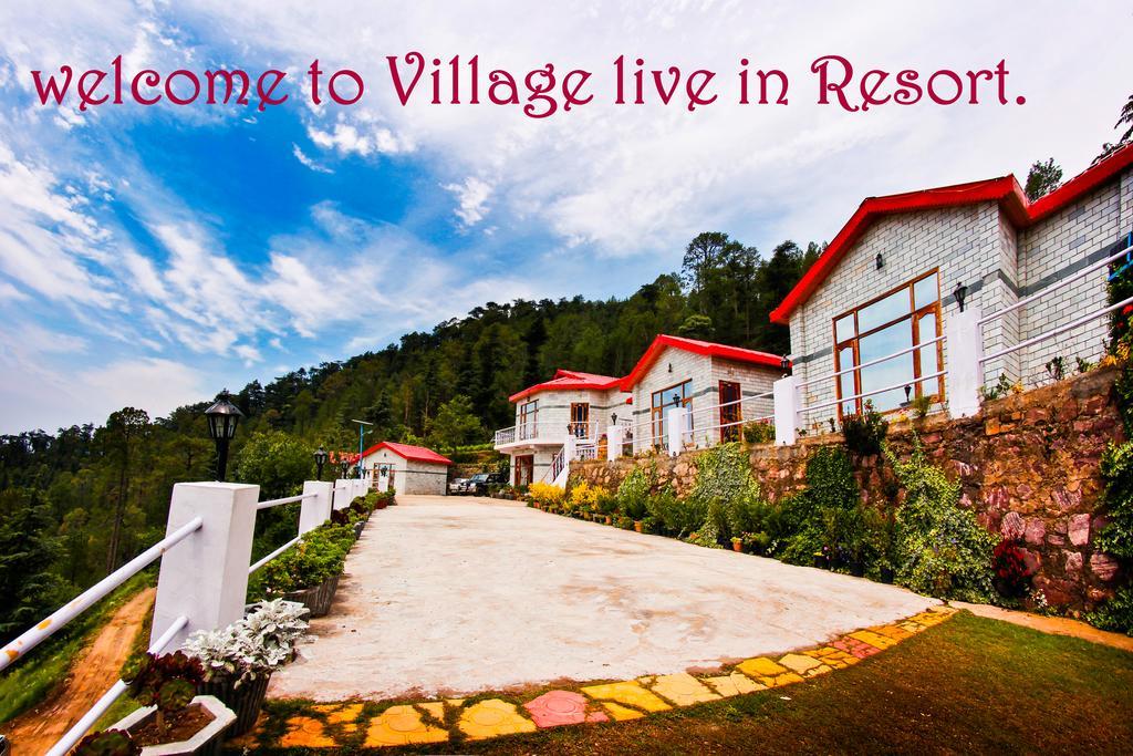 Village Live In Resort Chail Bagian luar foto